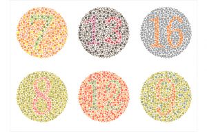 Westside Eye Clinic Color Blind Test